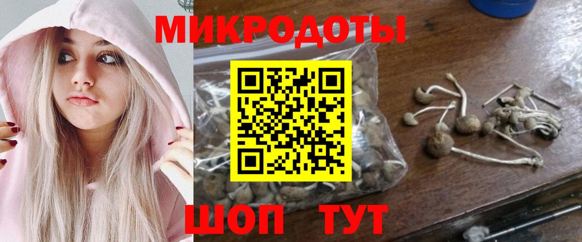 Кимры  Псилоцибиновые грибы прущие грибы  Вход с VPN 